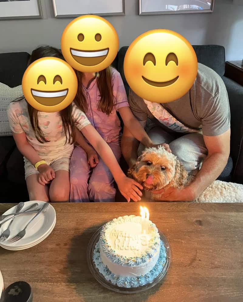 Family celebrating birthday with cake and dog, faces covered with emojis.