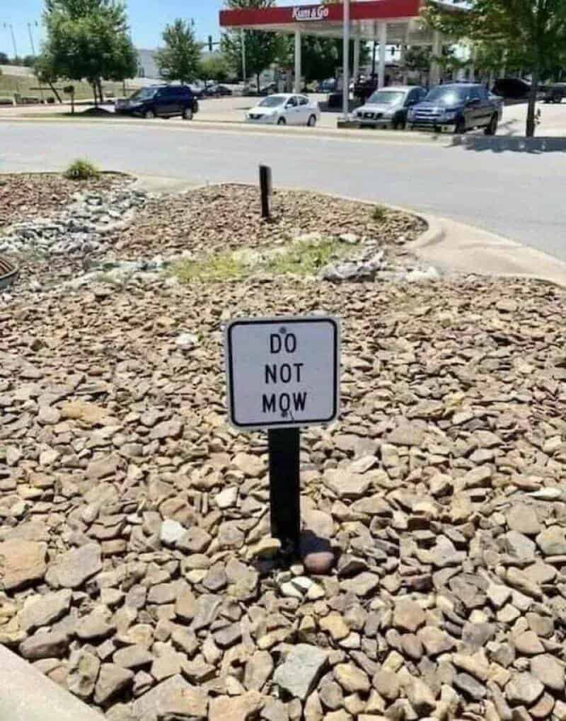 Sign says 'Do Not Mow' in a rocky area with cars and trees in the background.