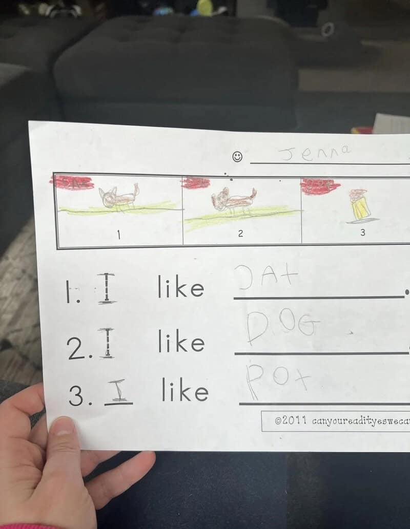 Child's drawing of a dog, a cat, and a pot with text about liking them.