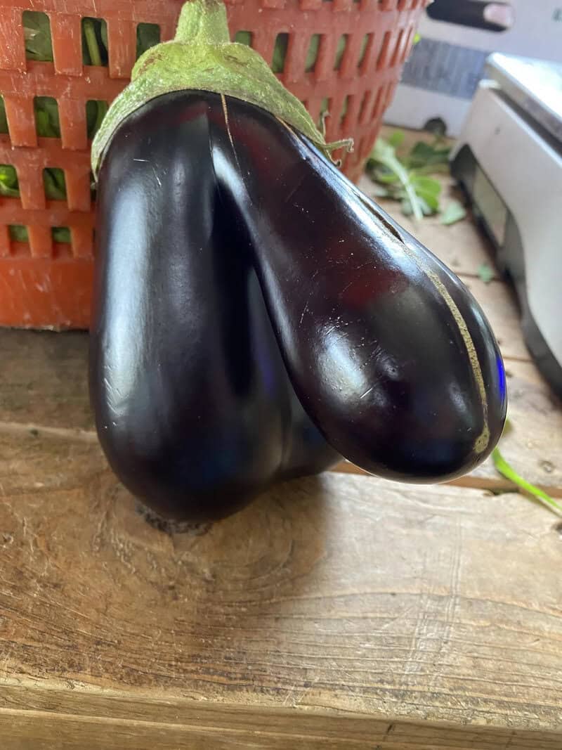 Eggplant with a green cap resembling a pear shape.