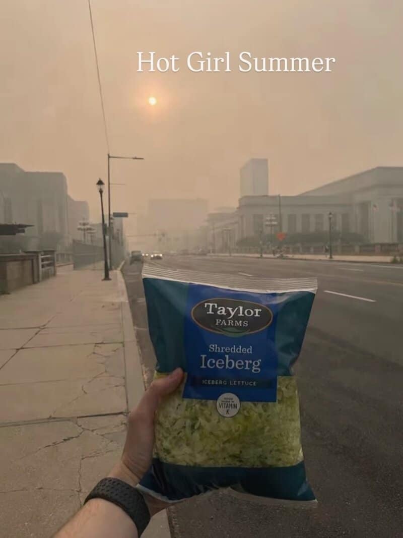 Person holding a bag of shredded iceberg lettuce on a smoky city street with the sun in the sky.