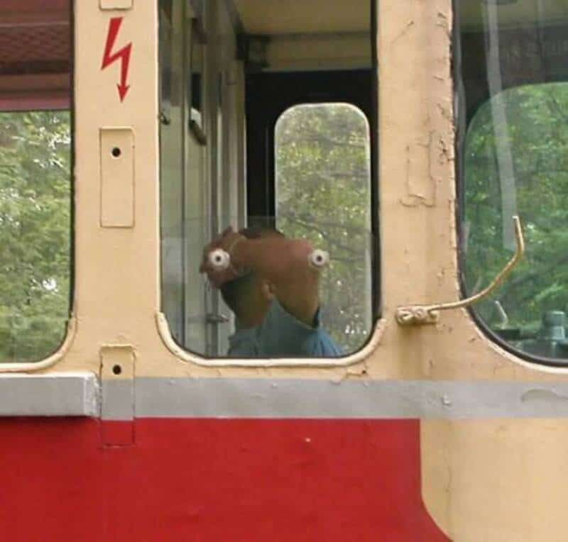 A person with a brown hat with googly eyes looks out of a train window.