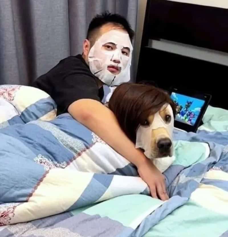 Person with face mask lying on bed with dog wearing mask, tablet in background.