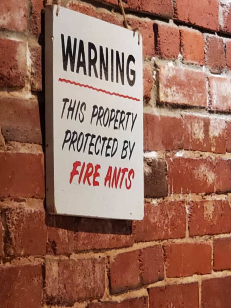 Warning sign on brick wall: This property protected by fire ants.