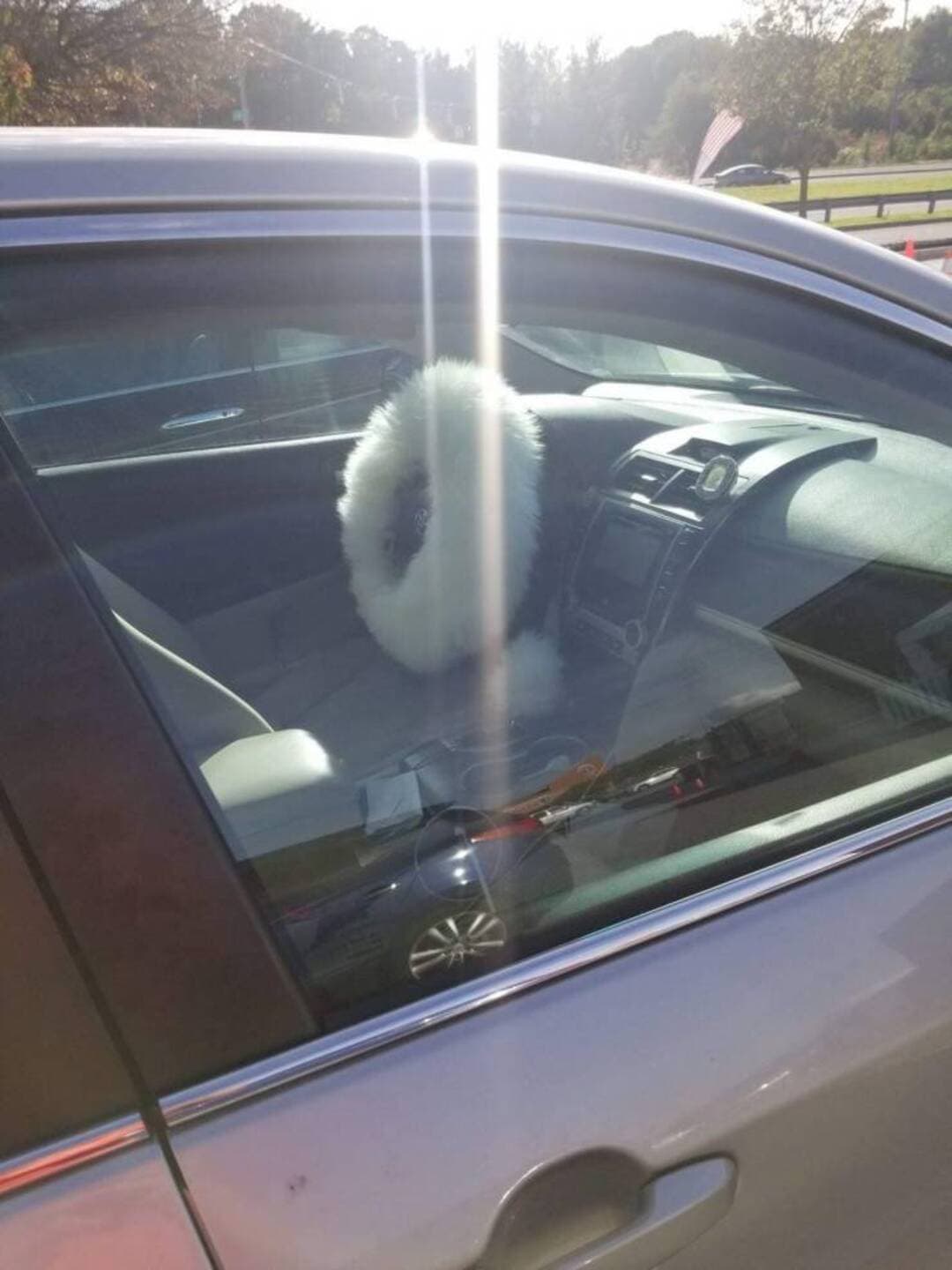 Furry steering wheel cover inside a car, sunlight shining through the window.