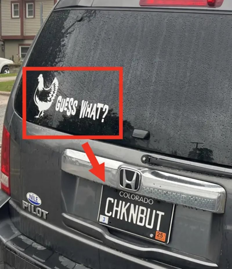 Hilarious car bumper sticker with a chicken and the text 'Guess What?'.