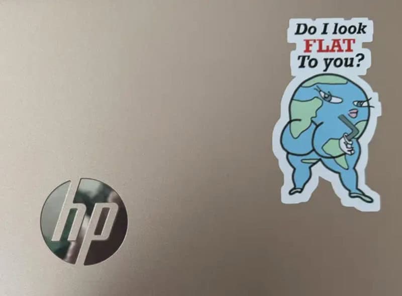 Sticker with a cartoon character asking, 'Do I look FLAT To you?'.