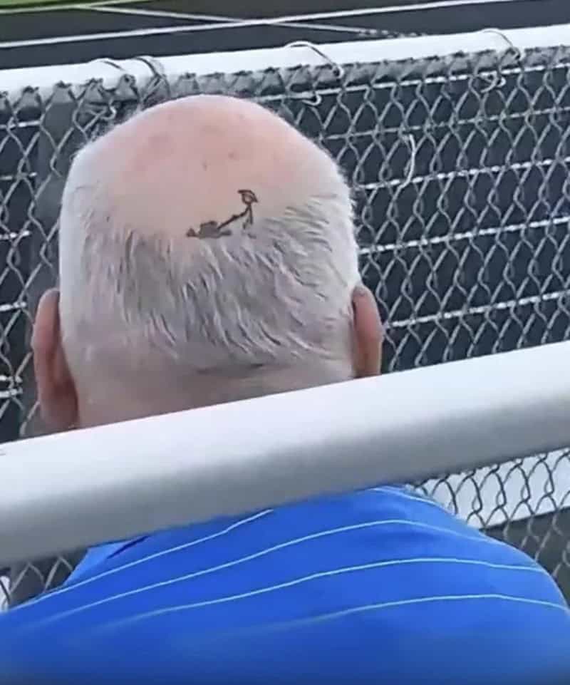 Bald man with a small bird tattoo on his head, sitting in front of a chain-link fence.