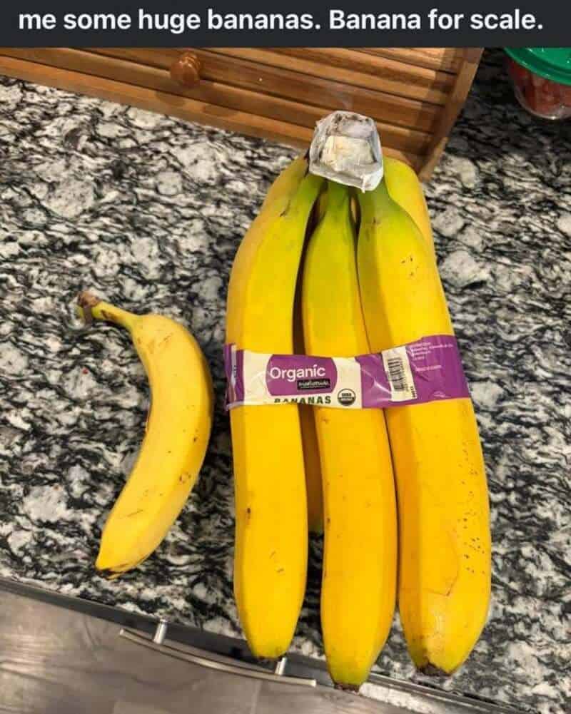 A bunch of large bananas with a small banana beside them on a granite countertop.