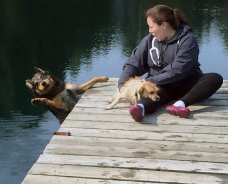 Woman and two dogs on dock, one dog falling into water, funny moment.