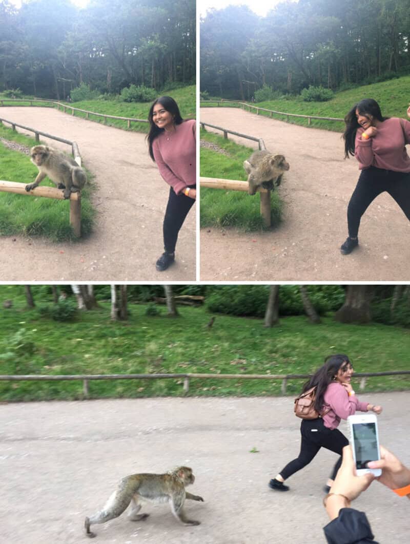 Woman posing with a monkey on a park trail, taking photos and playing.