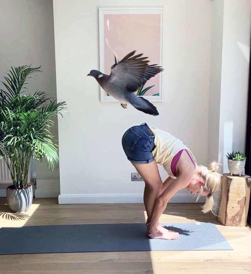 Woman doing yoga with a pigeon flying above her head in a bright room.