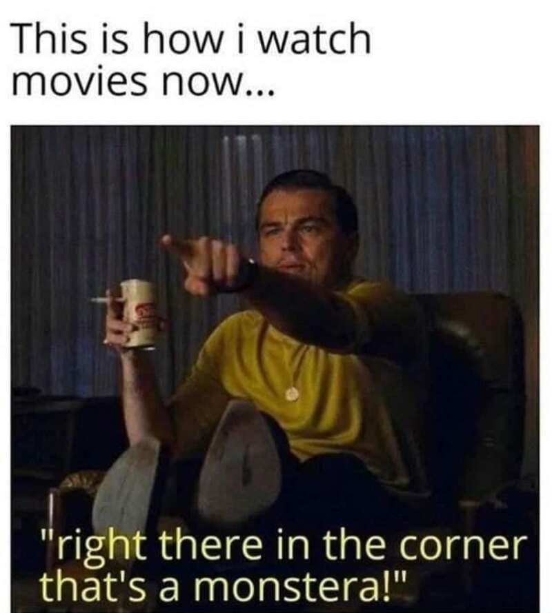 This is how I watch movies now... "right there in the corner that's a monster!".