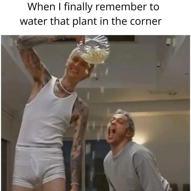 When I finally remember to water that plant in the corner.