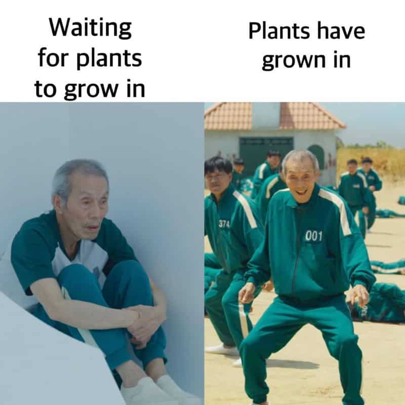 Waiting for plants to grow in one image, plants have grown in the other.