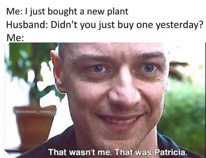 A man with a mischievous smile, outdoors, with a plant in the background.