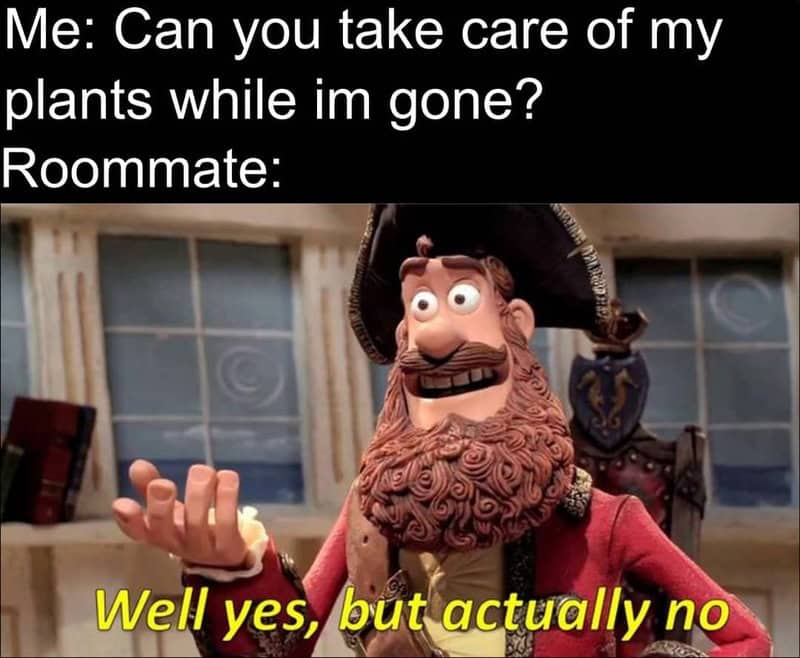 Animated pirate character with a beard and hat, saying "Well yes, but actually no".