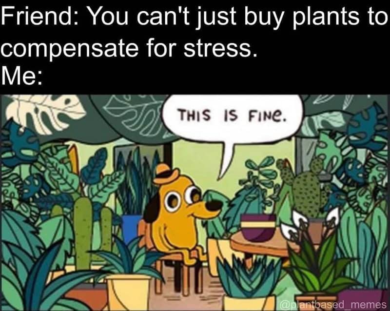 Dog sitting among plants with a speech bubble saying 'This is fine.'.
