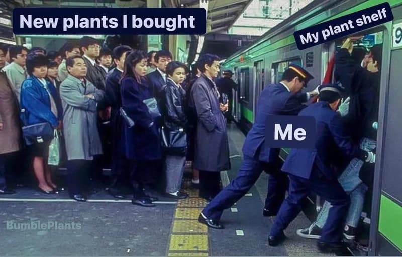 People waiting in line for new plants, with a person labeled 'Me' entering a train, and a plant on a.