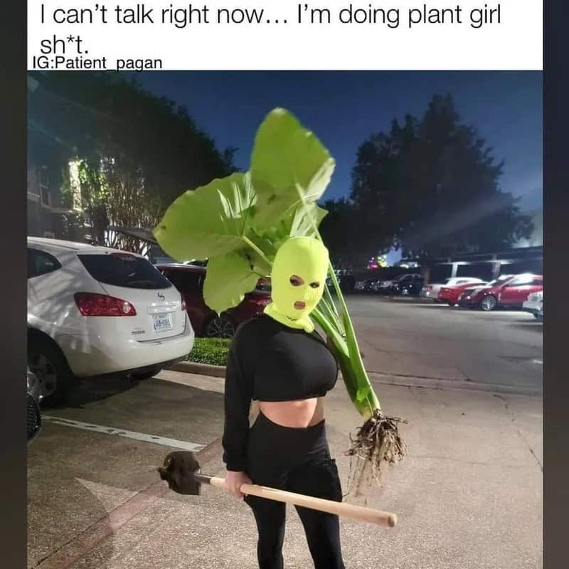 Person in plant costume holding a shovel in a parking lot at night.