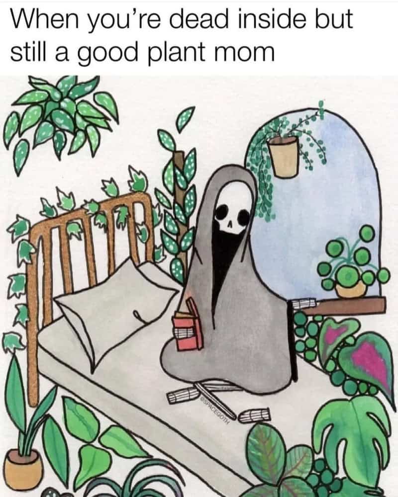 When you're dead inside but still a good plant mom.