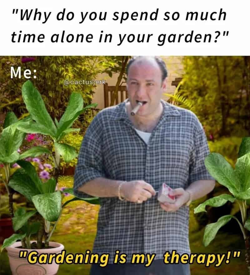 Man with a cigarette in a garden, smiling, with plants around him.