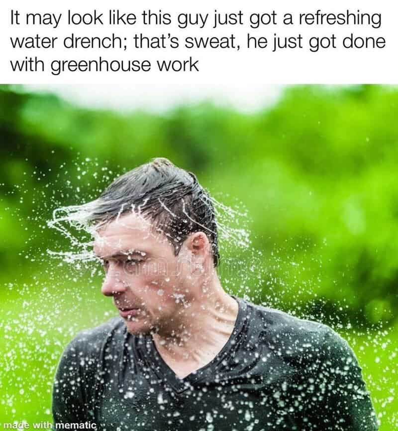 Man getting a water splash on his head, green background, humorous meme about greenhouse work.