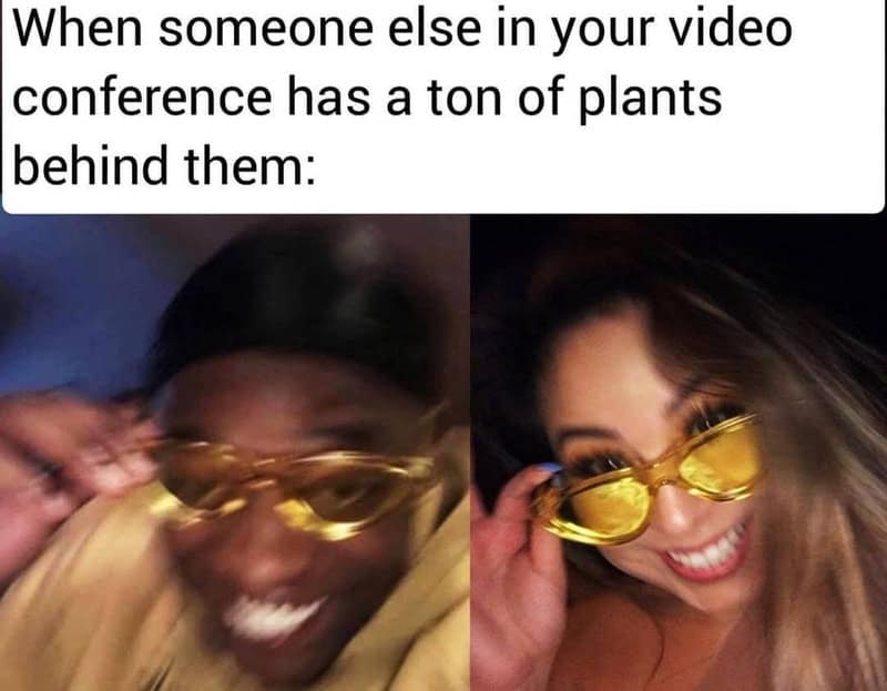 When someone else in your video conference has a ton of plants behind them.