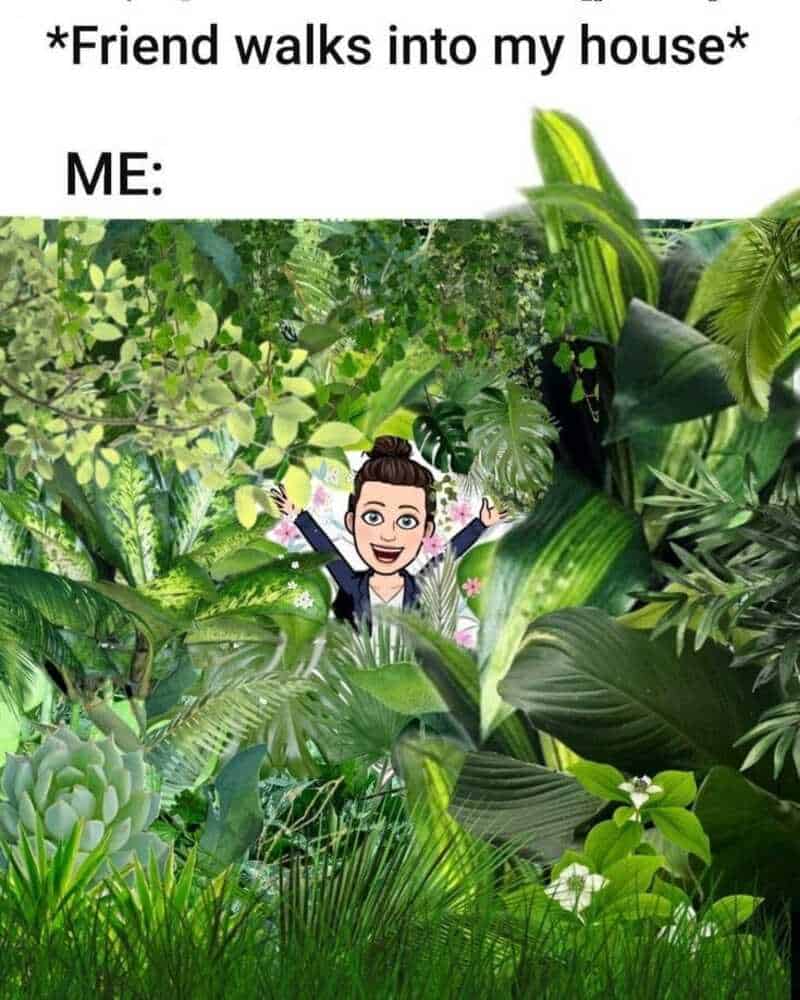 Friend walks into my house, me surrounded by lush green plants.