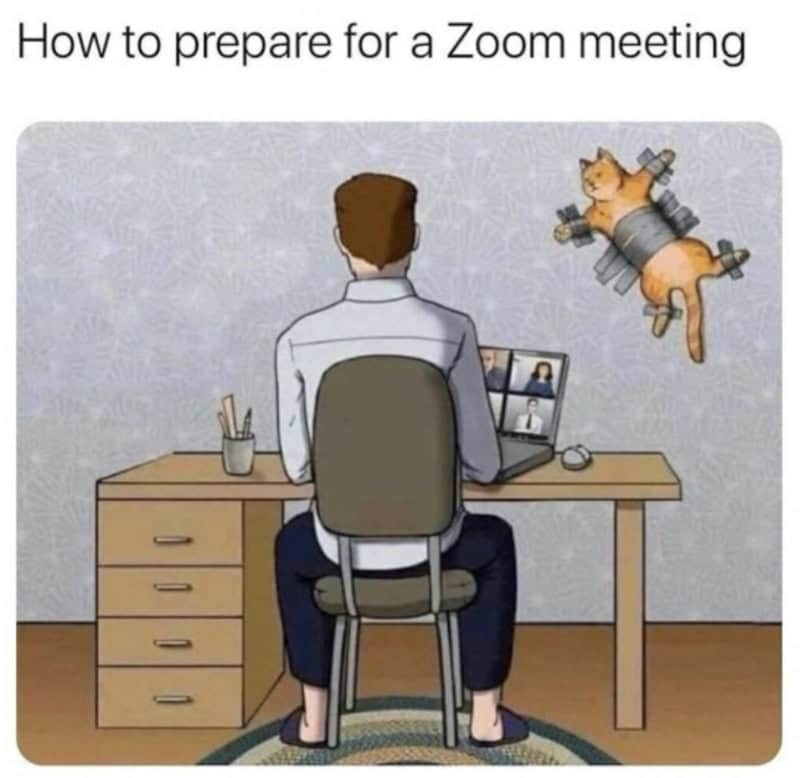 How to prepare for a Zoom meeting with a cat flying with rockets.