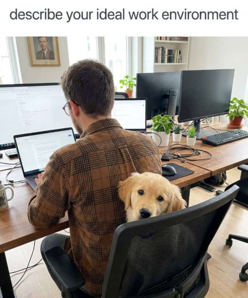 Man working at desk with dog looking over chair in home office.