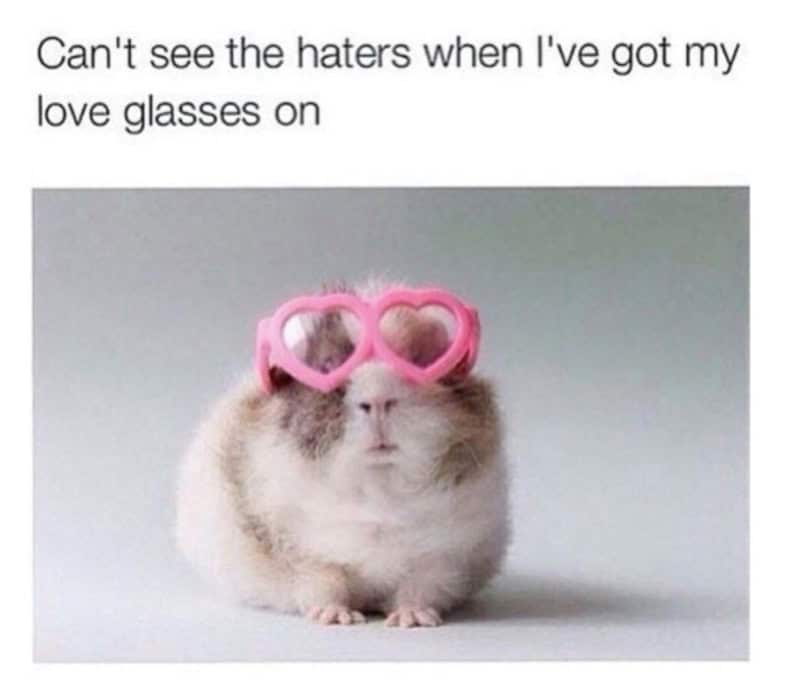 Cute hamster with pink heart-shaped glasses, caption about love glasses.