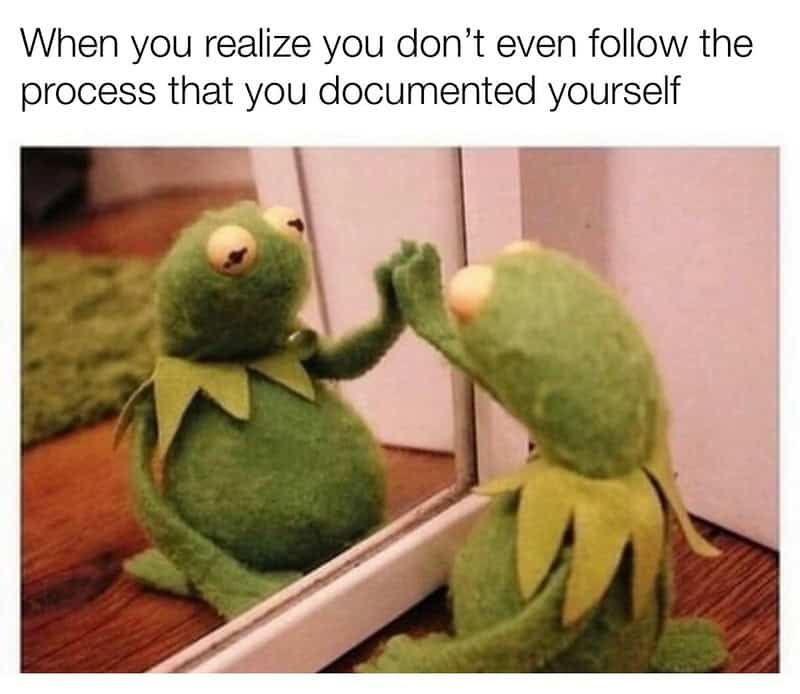 Kermit the Frog plush toy looking at his reflection in a mirror.