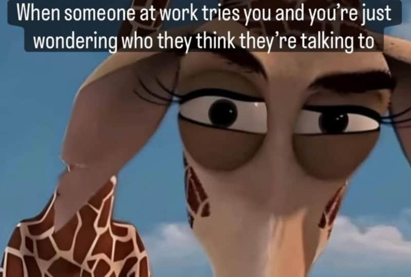 Giraffe with glasses and a hat, looking suspicious, with text about work.