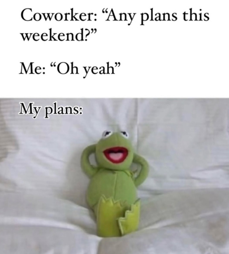Muppet Kermit plush toy with a humorous caption about weekend plans.