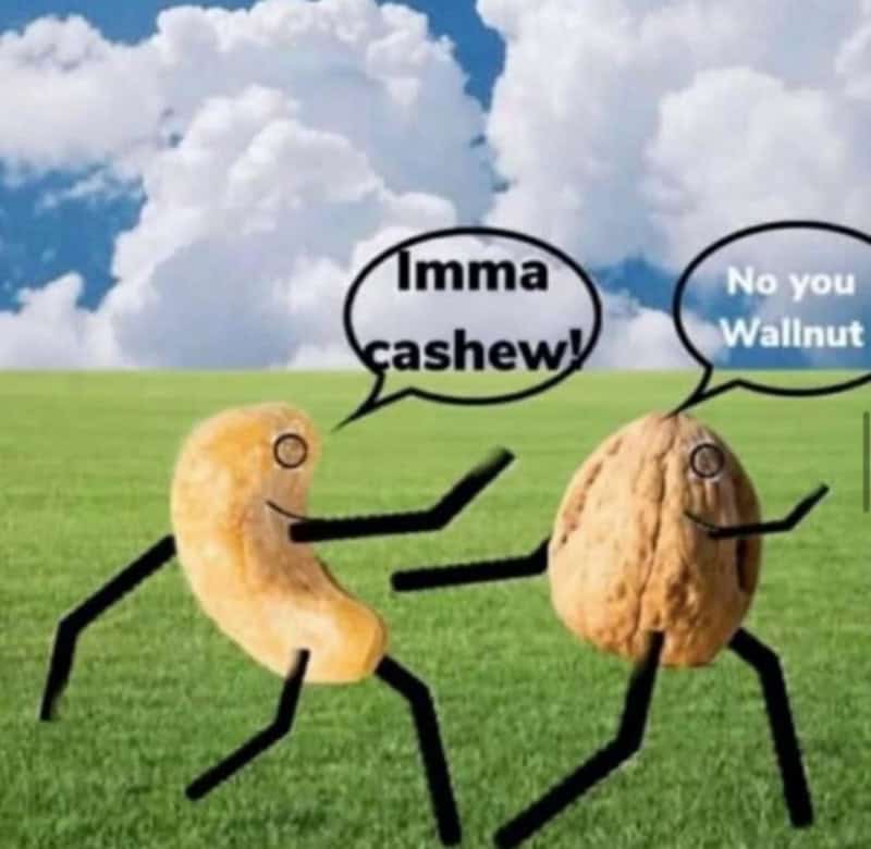 Two animated nuts, one cashew and one walnut, talking in a field with speech bubbles.