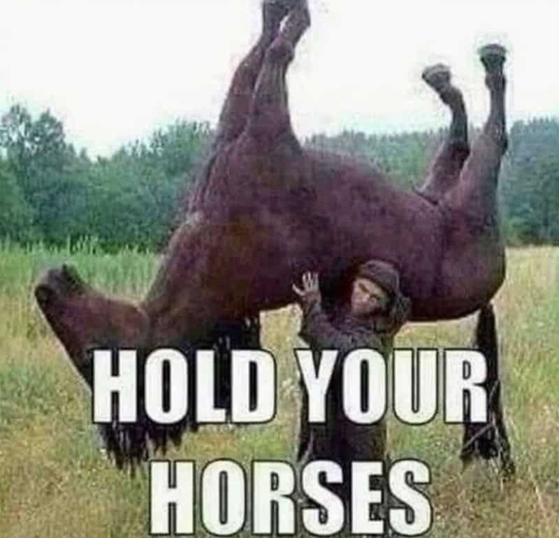Humorous image of a person holding a horse upside down with the caption "HOLD YOUR HORSES".