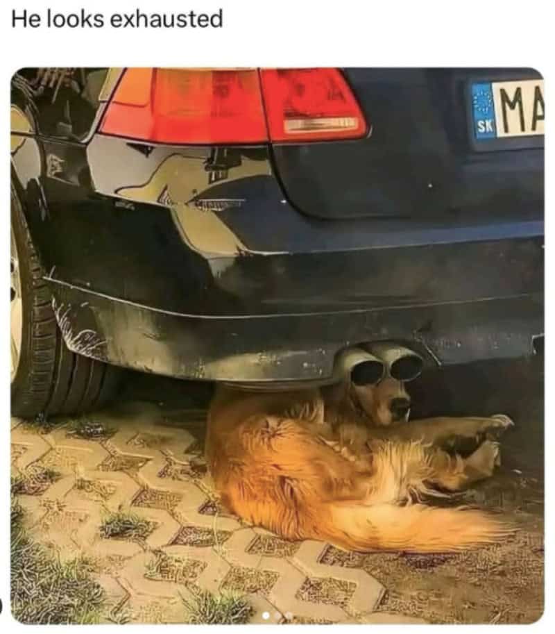 Dog lying under a car with sunglasses, looking exhausted.