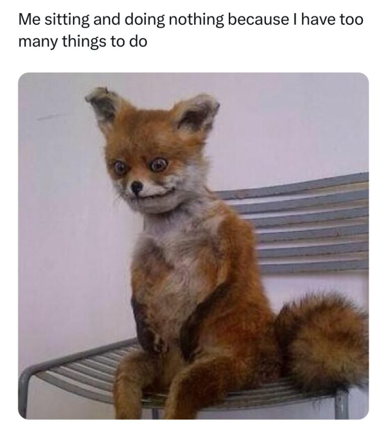 30 Random Relatable Memes One For Every Mood You ve Had This Week 30-random-relatable-memes-one-for-every-mood-you-ve-had-this-week