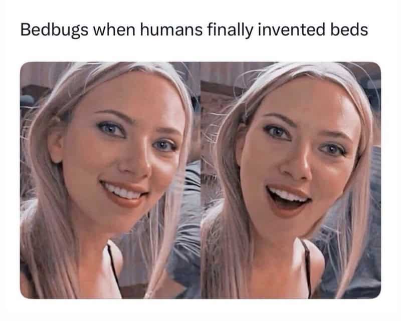 Memes about beds and humans inventing beds with smiling woman.