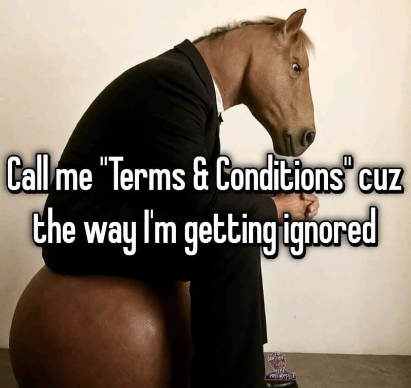 Humorous meme with a horse in a suit sitting on a ball, text about ignoring terms and conditions.