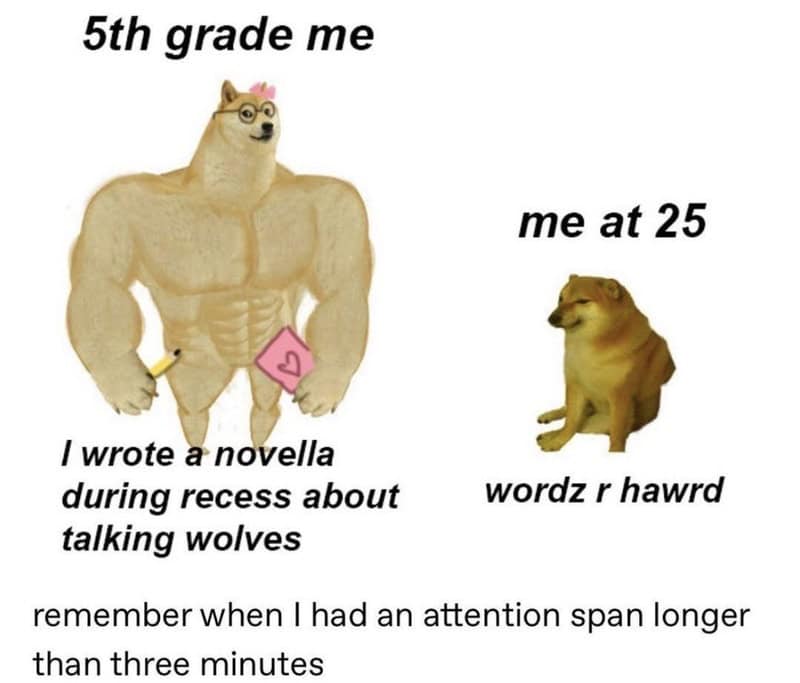 Memes comparing 5th grade me and me at 25, with humorous captions.