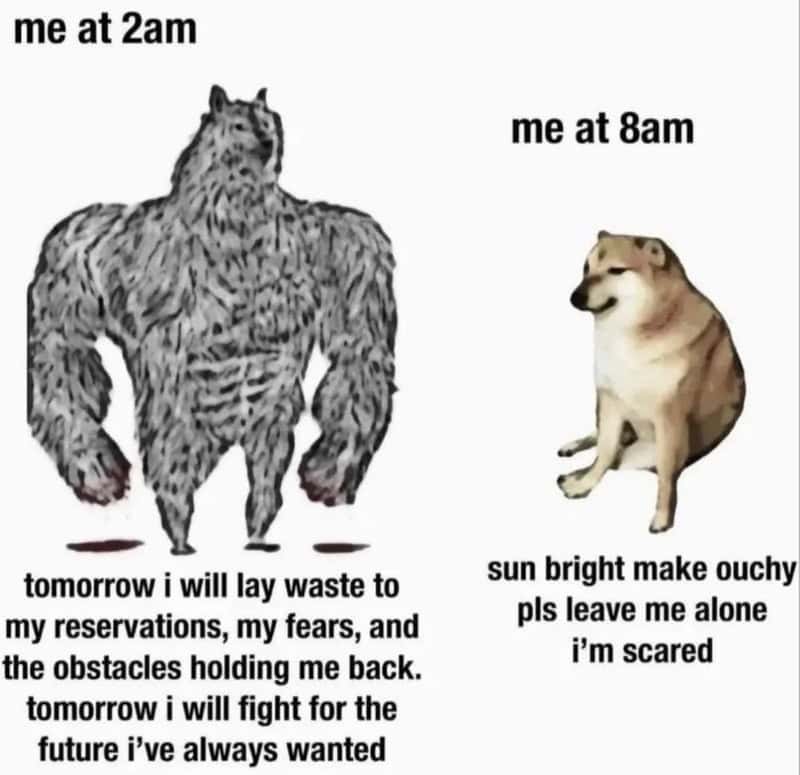 Comparison of a wolf at 2am and a dog at 8am with humorous captions.