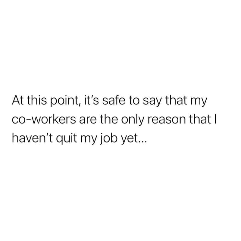 At this point, it's safe to say that my co-workers are the only reason that I haven't quit my.
