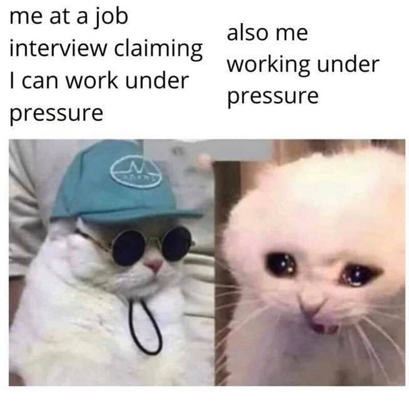 Cats dressed as healthcare workers with text about working under pressure.