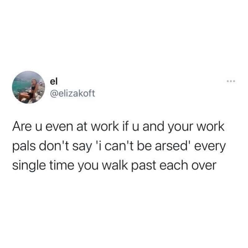 Are u even at work if u and your work pals don't say 'i can't be arsed' every time you walk past.