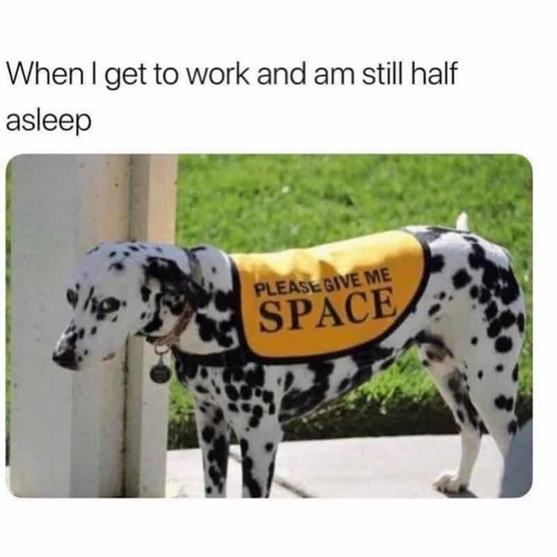 Dog wearing a vest that says 'Please give me space' with the caption about feeling half asleep at 50.