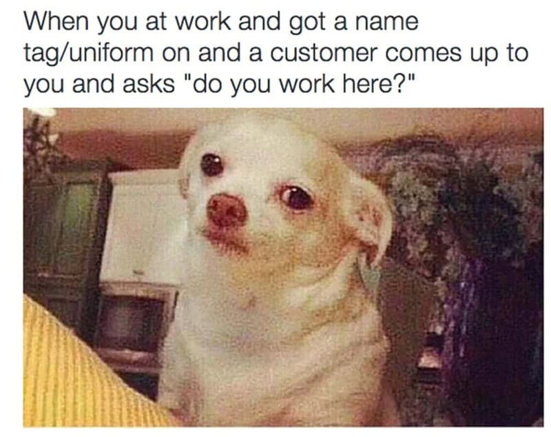 Dog with a confused expression, caption about work and customer inquiry.
