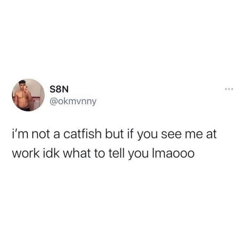 'i'm not a catfish but if you see me at work idk what to tell you lmaooo'.