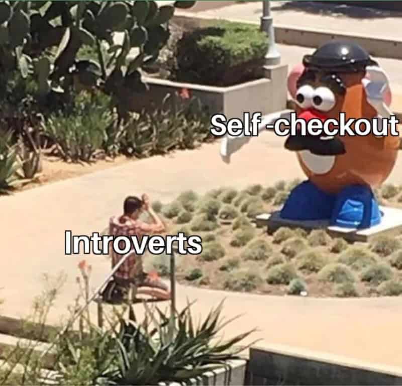 Self-checkout meme with a cartoon character and a person labeled introverts.